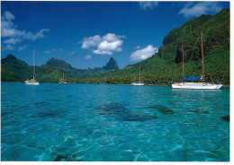 1 AK Moorea Island / Französisch Polynesien * Sailboats Come To Anchor In The Well-protected Bays Of Moorea * - Frans-Polynesië