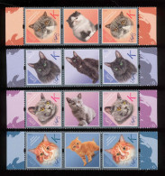 Label Transnistria 2024  Cat Breeds Cats 2x 4v**MNH + 4 Labels - Fantasy Labels