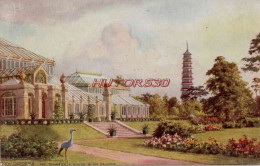 CPA KEW GARDENS - ANGLETERRE - THE TEMPERATE HOUSE AND THE PAGODA - London Suburbs
