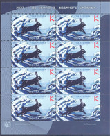 2023. Transnistria, Year Of The Black Water Rabbit, Sheetlet Perforated, Mint/** - Moldavie