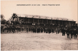 Châteauneuf-la-Forêt (30 Avril 1933) - Stand De L'Exposition Agricole - Chateauneuf La Foret