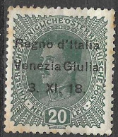 ITALIA VENEZIA GIULIA - EMISSIONE AUSTRIACA 20 HELLER SOVRASTAMPATO - MH*  (YVERT 7 - MICHEL 7 - SS 7) - Venezia Giuliana