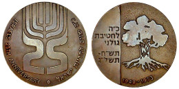 ISRAEL 25 ème Anniversaire - Médaille. - Andere & Zonder Classificatie