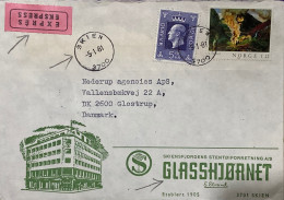 NORWAY TO DENMARK COVER USED 1981, EXPRESS LABEL, ADVERTISING, GLASSHJORNET, KING & PAINTING  STAMP, GLOSTRUP, SKIEN, CO - Cartas & Documentos