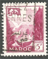 XW01-2603 Maroc 5f Vasque Aux Pigeons - Usados