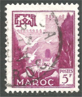 XW01-2604 Maroc 5f Vasque Aux Pigeons - Pigeons & Columbiformes