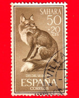 SAHARA SPAGNOLO - Usato - 1960 - Giornata Del Francobollo - Volpe Rossa - Red Fox (Vulpes Vulpes) - 50+20 - Spanische Sahara
