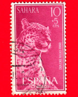 SAHARA SPAGNOLO - Usato - 1960 - Giornata Del Francobollo - Leopardo (Panthera Pardus) - 10+5 - Sahara Español