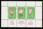 AUSTRALIA 1965 DAILY MIRROR TRANS AUSTRALIAN BALLOON FLIGHT BY TEIJIN 1 SHEETLET MNH - Cinderellas