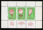 AUSTRALIA 1965 DAILY MIRROR TRANS AUSTRALIAN BALLOON FLIGHT BY TEIJIN 1 SHEETLET MNH - Mint Stamps