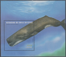 Chile HB 73 2002 Fauna Protegida. Cetáceos MNH - Chili