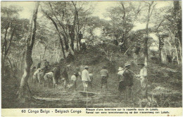 Congo Belge. Attaque D'une Termitière  Sur La Route De Lukafu. - Congo Belge