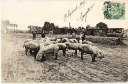 28 :  Nogent Le Roi : Débarquement Des Porcs à La Gare  /// Ref Mars 24. /// BO. 28 - Nogent Le Roi