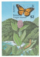 Virgenes Hb 67 - British Virgin Islands