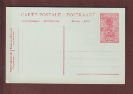 CONGO BELGE - BELGIQUE - Entier Postal Neuf - 1900/1930 - Carte Postale  - Cocotiers . 45c. Rouge - 2 Scan - Postwaardestukken