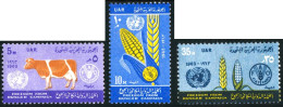 FL2/FAU3/S Egipto Egypt  Nº 561/63  MNH - Andere & Zonder Classificatie