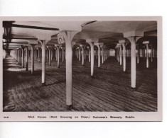 REAL PHOTOGRAPHIC POSTCARD - MALT HOUSE (MALT GROWING ON FLOOR)  GUINNESS'S BREWERY - DUBLIN - Dublin