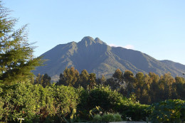 Rwanda - Volcanoes National Park - Parc Des Volcans - Zoo - CPM - Carte Neuve - Voir Scans Recto-Verso - Rwanda