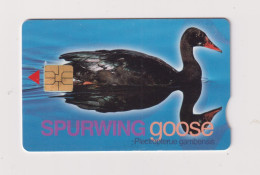 SOUTH AFRICA  -  Bird Spurwing Goose Chip Phonecard - Suráfrica
