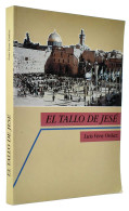 El Tallo De Jesé. Chispazos Sobre La Historia De Israel, El Sacerdocio Y Los Libros Sagrados - Luis Vera Ordaz - Jordanie