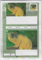 Brazil 1999 Postal Stationery International Aerogramme Animal Fauna Mammal Monkey Golden Lion Tamarin Unused - Monkeys