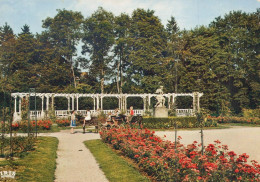 VITTEL PROMENADE DES ENFANTS A DOS D ANES LA ROSERAIE - Vittel