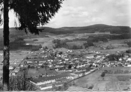 Granges-sur-Vologne Belle Vue Aérienne Du Village Avec Usine Les Baumes - Granges Sur Vologne