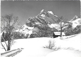 Braunwald GL Ortstock Vom Ob. Höhenweg GF 1964 Selten - Braunwald