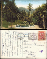 Postcard Kingston Castleton Gardens, Jamaica, Umland-Ansicht 1928 - Giamaica