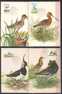 NETHERLANDS STAMPS. 1984 SET OF 4 MAXIMUM CARDS MC  BIRDS, UNUSED - Maximum Cards