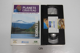 CA4 K7 VIDEO VHS PLANETE COUSTEAU SCANDALE - Documentales