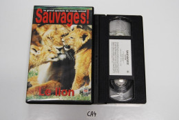CA4 K7 VIDEO VHS SAUVAGE LE LION - Documentales