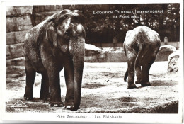 ELEPHANTS - Parc Zoologique - Exposition Coloniale Internationale De Paris 1931 - Éléphants