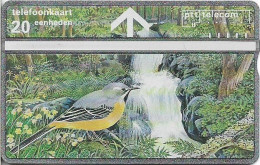 Netherlands - KPN - L&G - R050-01 - Nationale Postcode Loterij - Kwikstaart - 344H - 01.1993, 20U, 10.000ex, Mint - Privadas