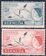 188 Bermuda QE II Yellowbilled Tropic Bird (BER-81) - Bermudas