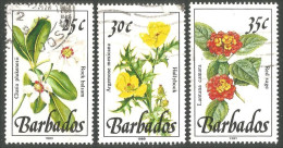 176 Barbados Fleurs Hollyhock Red Sage Rock Balsam Flowers (BBA-161) - Barbados (1966-...)