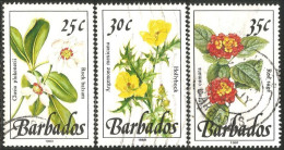 176 Barbados Fleurs Flowers (BBA-145) - Barbados (...-1966)