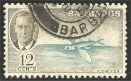 176 Barbados 1950 Flying Fish Poisson Volant (BBA-132) - Barbades (...-1966)