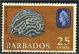 176 Barbados Coral Corail (BBA-50) - Barbados (...-1966)