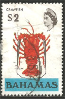 164 Bahamas Crayfish Ecrevisse (BAH-178) - Schaaldieren