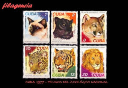 CUBA MINT. 1977-16 FAUNA. FELINOS DEL ZOOLÓGICO DE LA HABANA - Nuevos