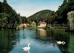 73152430 Bad Bergzabern Schwanenweiher Bad Bergzabern - Bad Bergzabern