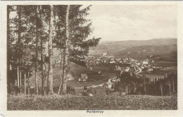 Porrentruy 1917 - Porrentruy