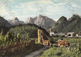 CARTOLINA  B24 KRANJSKA GORA M.810,ALTA CARNIOLA,SLOVENIA-VIAGGIATA 1969 - Slowenien