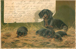 Illustrateur Mailick Alfred - Chiens Teckel   R 573 - Mailick, Alfred