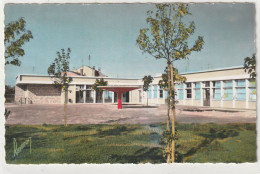 BAGNOLET (93) L'Ecole Maternelle Jean-Jaurès  -9x14 Dentelée Glacée - Ed. D'art RAYMON - Bagnolet