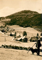 73136830 Waltersdorf Zittau Blick Zur Lausche Schaefer Mit Schafherde Waltersdor - Grossschoenau (Sachsen)