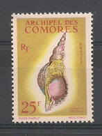 COMORES - 1962 - N°YT. 24 - Coquillage / Sea Shell - Neuf Luxe ** / MNH / Postfrisch - Unused Stamps