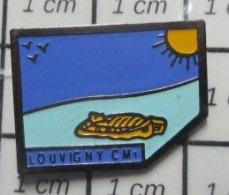 718A  Pin's Pins / Beau Et Rare / ADMINISTRATIONS / LOUVIGNY CALVADOS CLASSE DE CM1 - Administraties