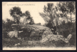 56 LA GACILLY - Les Tablettes De Cournon - La Gacilly